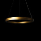 ART-S-RING FLEX W60mm LED светильник подвесной  кольцо   -  Подвесные светильники 